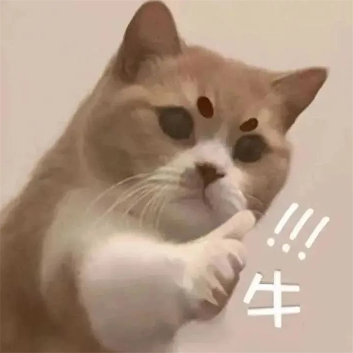 研粒MBA