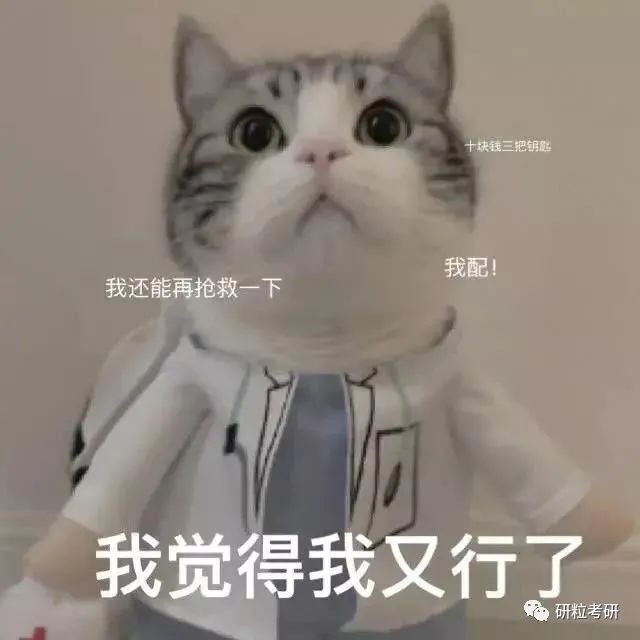 研粒考研