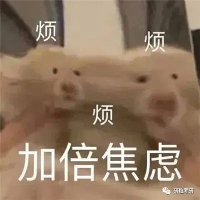 研粒考研倦怠期