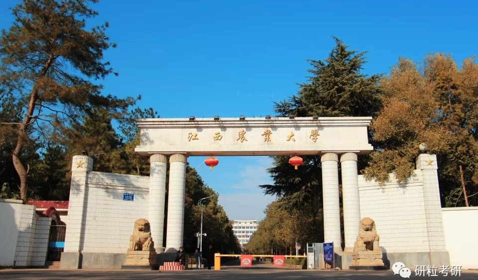 研粒考研大量专科生考研人