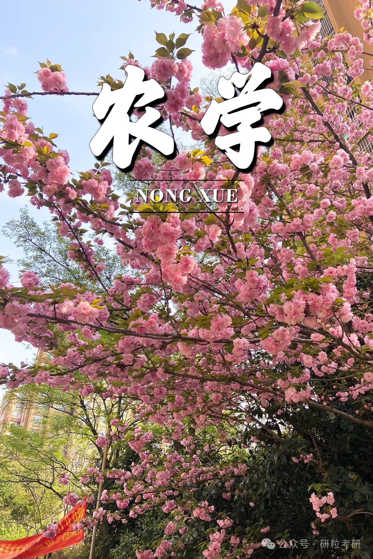 研粒考研集训营农学